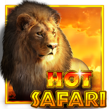 เล่นสล็อตเว็บตรง สูตรสล็อตเว็บตรง Hot Safari 